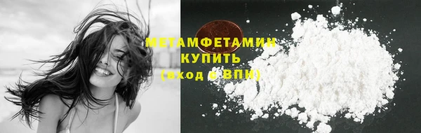 индика Краснослободск