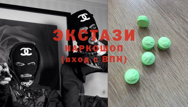 индика Краснослободск