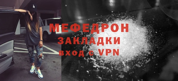 индика Краснослободск