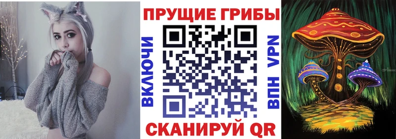 Галлюциногенные грибы Cubensis  darknet формула  Кяхта 
